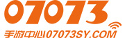 07073