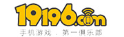 19196